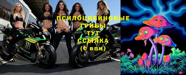 дмт Алексеевка