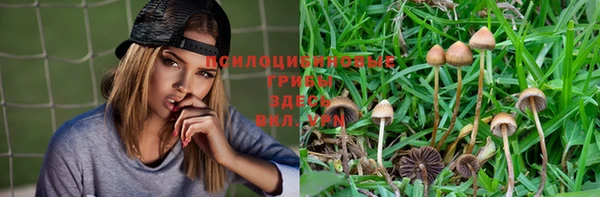 spice Алзамай